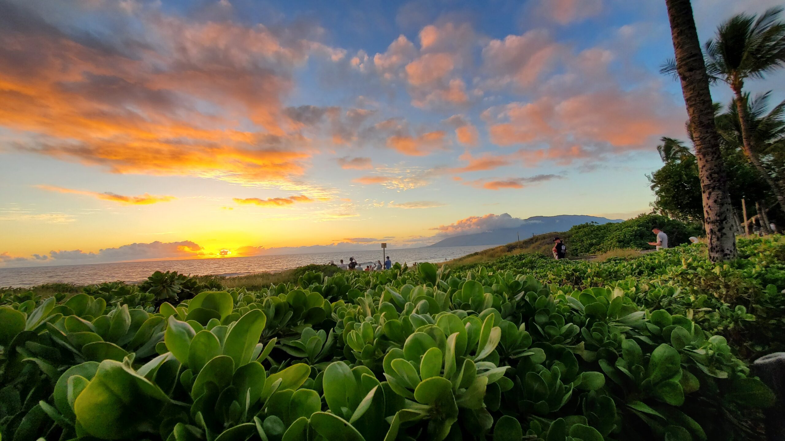 Maui Sunset on Charlie Young Beach